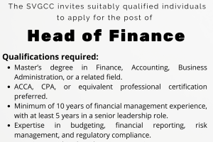 Head of Finance – Job Vacancy Flyer (1) Head of Finance – Job Vacancy Flyer (1)
